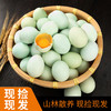 【好物推荐】乌鸡绿壳蛋 10枚/30枚/40枚 商品缩略图0