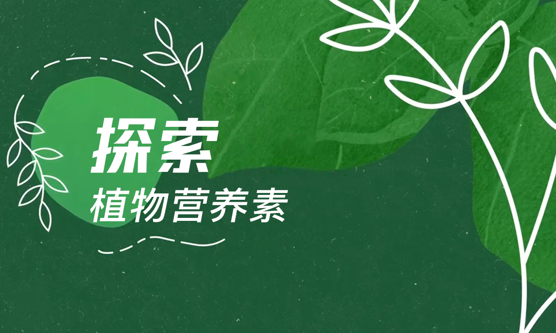 探索植物营养素