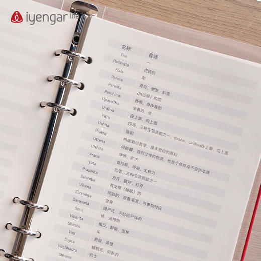 艾扬格文创A5活页笔记本（新版）道林纸 艾扬格大师语录   艾扬格体式名称体式图例 商品图4