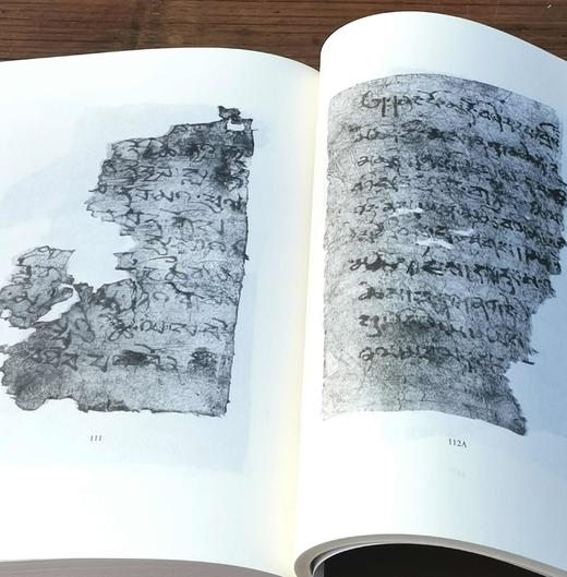 《民国新疆焉耆蒙古族档案选编》《英国收藏新疆出土古藏文文书选译》，16开，杨铭等编译，新疆人民出版社2014年版，两册总定价155元，售价：82元。 商品图13