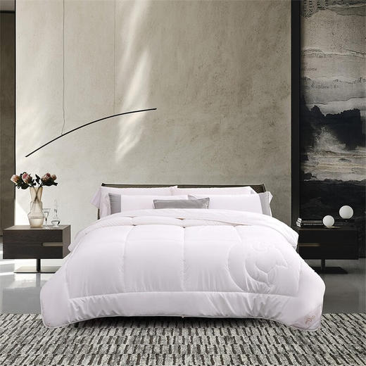 水星家纺DH威尔抗菌澳洲 羊毛被122270 商品图0