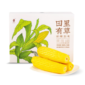 田里有草 甜糯玉米 |果蔬