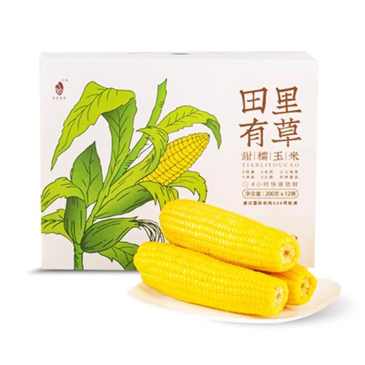 田里有草 甜糯玉米 |果蔬 商品图0