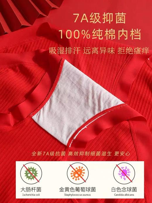 A类婴儿棉 红色内裤 大码纯棉 7A抑菌 本命年新年高腰裤 337#（130斤-210斤） 商品图4