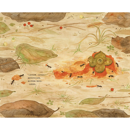 柿子熟了   学前大班正版现货速发|名师推荐|小学生课外阅读 商品图2