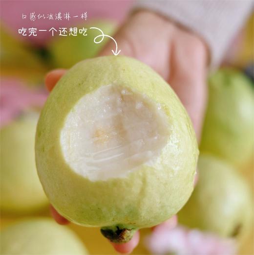 冰淇淋奶油芭乐+草莓芭乐 商品图2