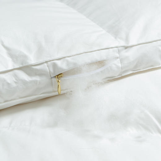 【专柜-多样屋】静柔鹅绒被全棉纯棉秋冬季床单被罩加厚保暖 商品图4