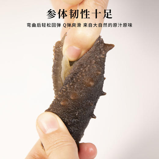 即食辽刺参🎁大连海参辽刺参高营养开袋即食8-10头/500g 商品图3