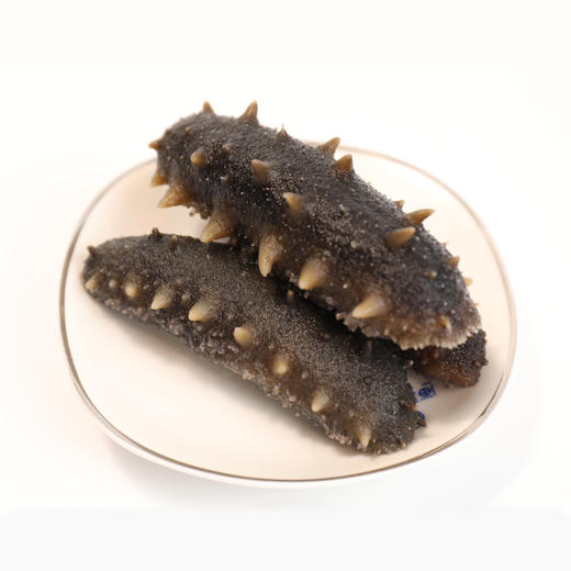 即食辽刺参🎁大连海参辽刺参高营养开袋即食8-10头/500g 商品图6