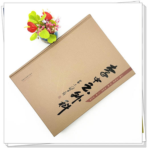 李中玉外科 李明道 李政 邓松华 王丽 李红艳 主编 中国中医药出版社 中医外科学 临床 书籍 商品图1