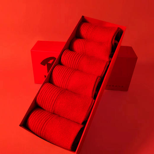 【蛇年大吉】Basiclive 龙年红色开运组合套装 商品图7