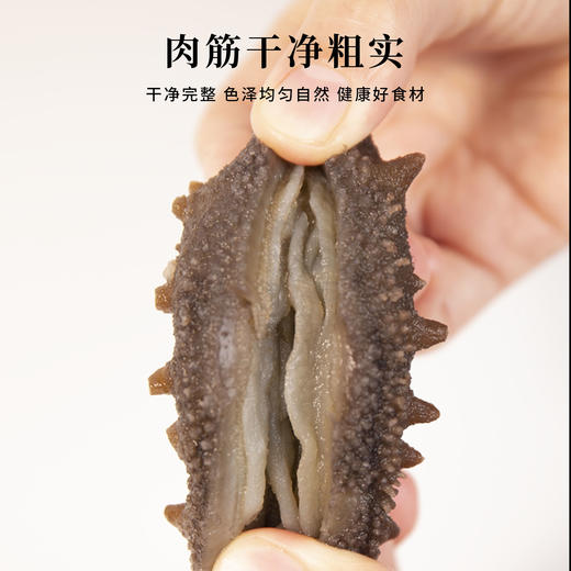 即食辽刺参🎁大连海参辽刺参高营养开袋即食8-10头/500g 商品图4