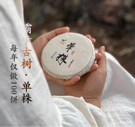 生普·单株 | 【2023年新茶】 叶舞地  霸卡单株 商品图0