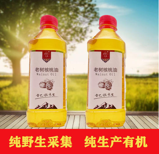 老树核桃油【500ml】 商品图3