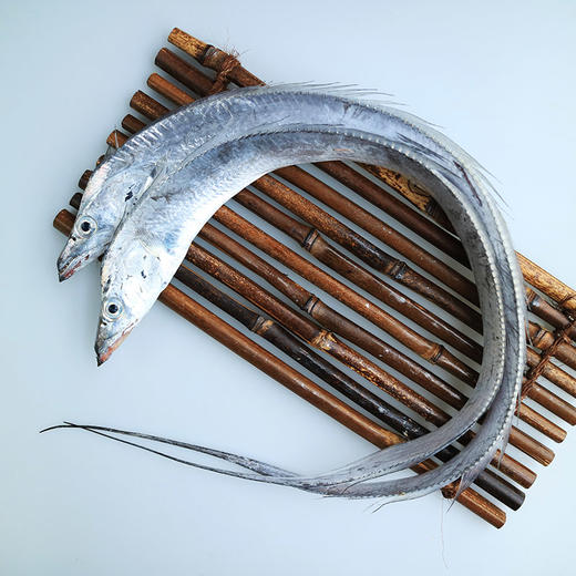 【浙江好物】舟山带鱼段400g*3袋  顺丰直达 商品图4