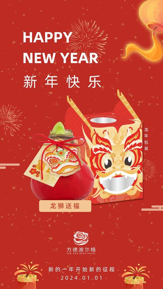 新年首发！！不用浇水的石蜡朱顶红种球！ 红花-龙狮送福 商品图0