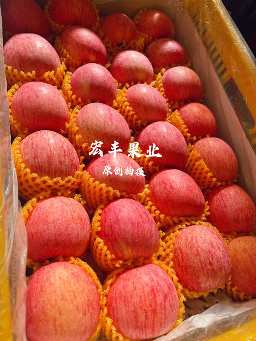 产地直发洛川苹果 条纹漂亮 口感甜脆 活动价9.8元一斤 商品图11