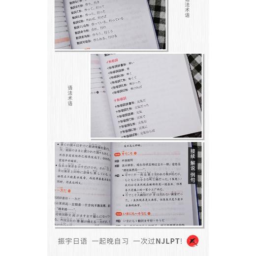 新日本语能力考试N1-N5文法随身背 全新修订版 商品图4