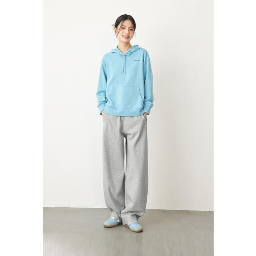 【严选】诗凡黎春精致小字母刺绣图案合身版连帽卫衣SF1200231 商品图2