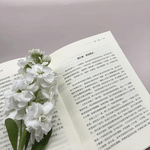 西潮与新潮 蒋梦麟 著 传记 商品图4