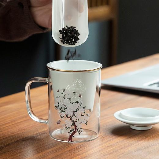 创意变色玻璃水杯家用个性潮流耐热泡茶杯带盖茶水分离办公茶杯子 商品图4