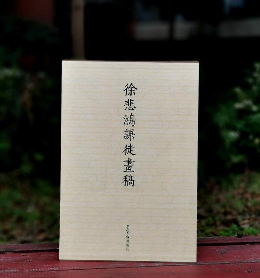 《徐悲鸿课徒画稿》，8开，两册函套装，徐悲鸿著，荣宝斋出版社2008年一版一印，定价198，售价79元。 商品图0