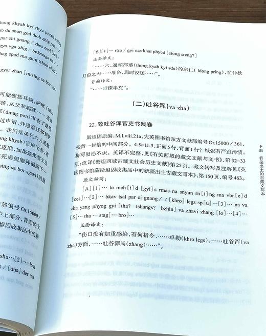 《民国新疆焉耆蒙古族档案选编》《英国收藏新疆出土古藏文文书选译》，16开，杨铭等编译，新疆人民出版社2014年版，两册总定价155元，售价：82元。 商品图6