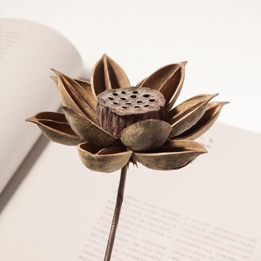 【艺术·禅意】ins风天然干花风干花束diy禅意干花家居装饰品 商品图2