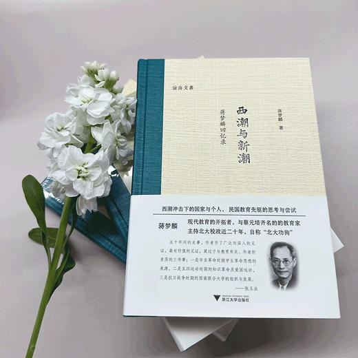 西潮与新潮 蒋梦麟 著 传记 商品图1
