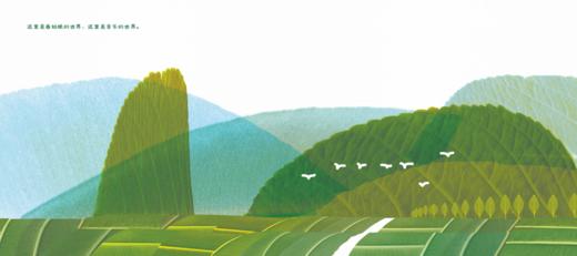 叶子里的春   学前中班正版现货速发|名师推荐|小学生课外阅读 商品图2