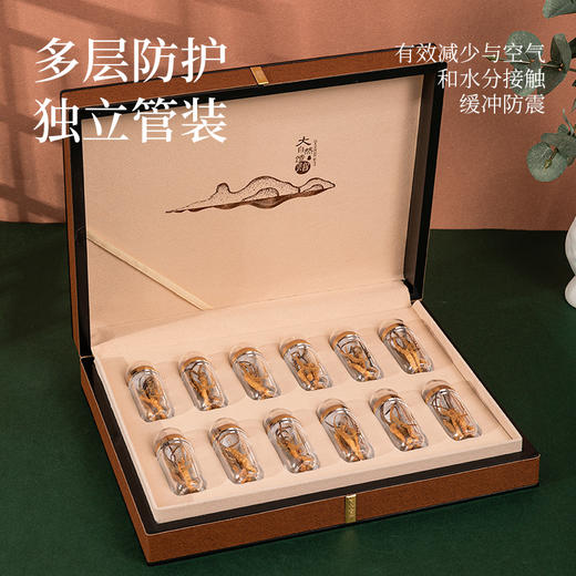 【冬虫夏草礼盒装】 根根甄选 虫体肥大饱满色泽金黄多层防护独立管装 4根/克 送礼佳品 商品图5
