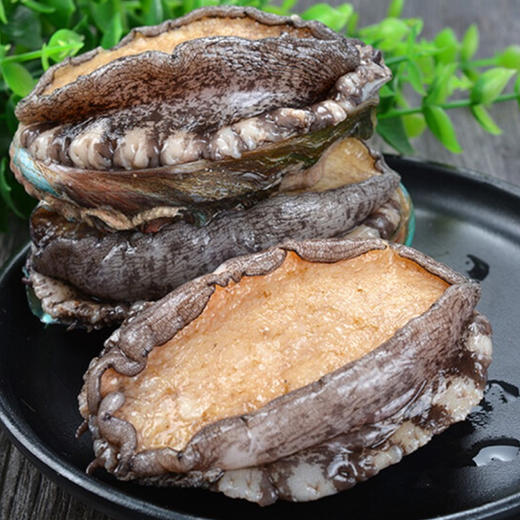 L深海鲍鱼码头直发超大个，深海大皇金鲍鱼 肥美爽滑个大饱满 【活冻】 商品图1