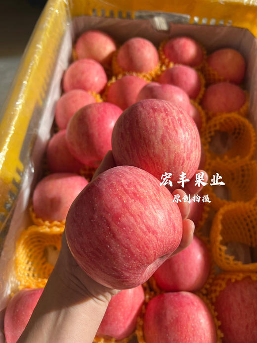 产地直发洛川苹果 条纹漂亮 口感甜脆 活动价9.8元一斤 商品图12