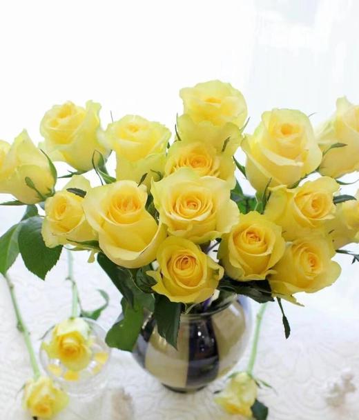 【AB级浪漫沙滩玫瑰.第二件减10元】10支/份 长约60-65cm 商品图8