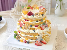 ins风双层森系裸蛋糕