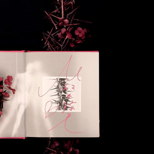 献给爱与子宫的花束（与上野千鹤子合著《始于极限》的铃木凉美，个人代表作中文世界首次出版） 商品图6