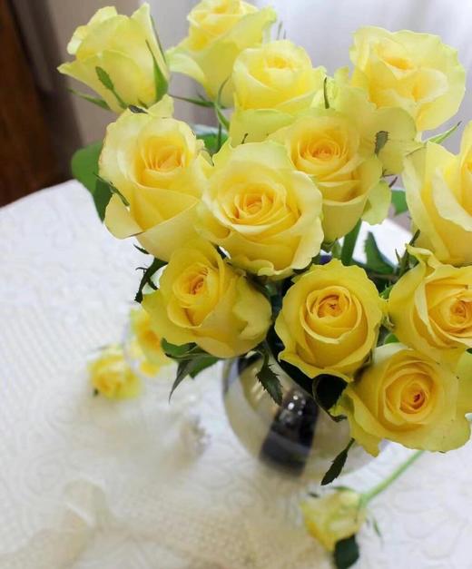 【AB级浪漫沙滩玫瑰.第二件减10元】10支/份 长约60-65cm 商品图9