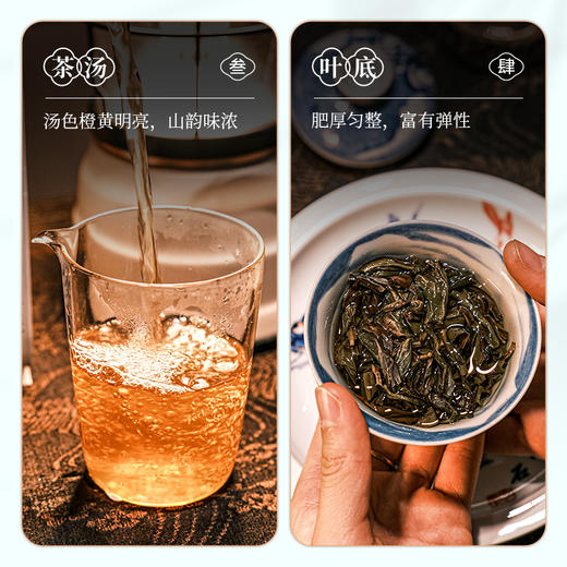 【南上荣】纯种单枞系列（红白蓝）蜜兰香100g/鸭屎香100g 商品图4