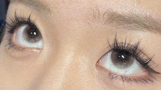 LoveiiKira国产半年抛--奶昔棕 商品图2