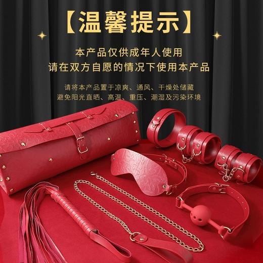 Desire天鹅卷包款SM经典调教套装【8款10件套装】 商品图3