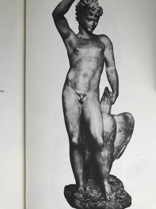 本韦努托·切利尼自传 配多幅插图 精装16开带书匣 商品图8