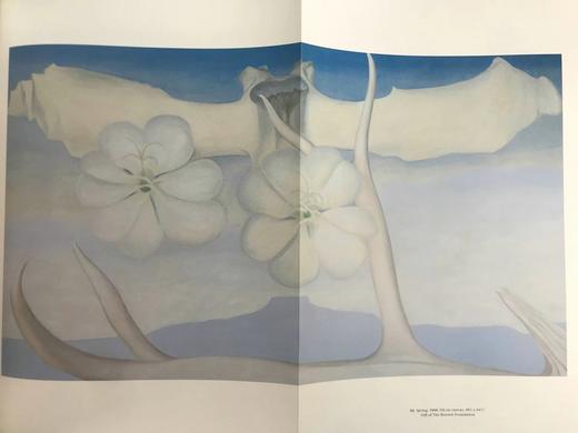 乔治亚·欧姬芙博物馆图集 120幅插图（86幅彩色） 精装大16开 商品图8