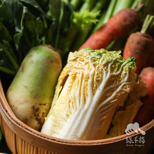 生态蔬菜组合（西芹、菠菜等，河南） | 合作生产 * Ecological Vegetables  | Coproduction 商品图2