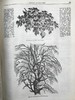 1857年 通俗教育者 数百幅版画插图 真皮精装16开 商品缩略图14