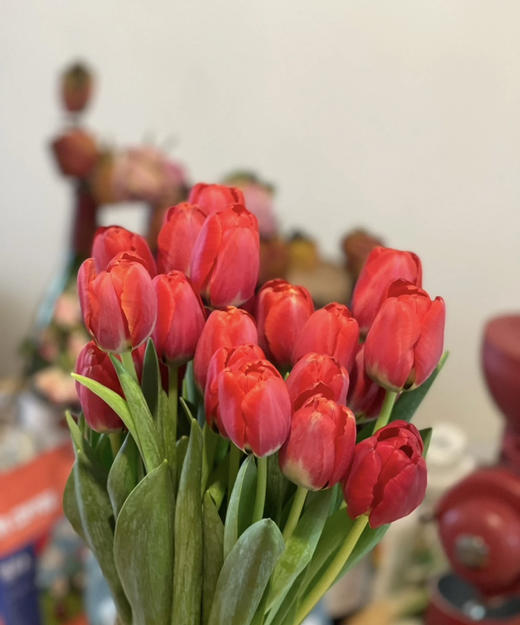 【国产郁金香】红色  约10枝/扎（实际颜色以实物为准） 商品图0