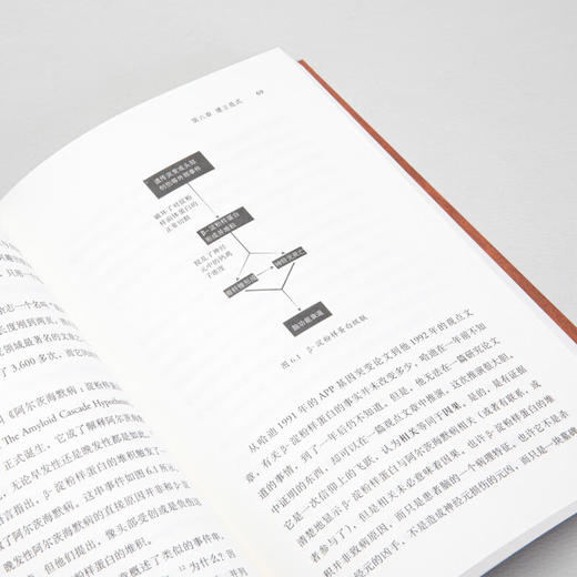 偷走心智的贼：阿尔茨海默病的故事 于涵 著 商品图7