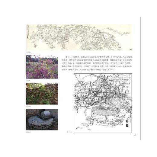 花卉线描写生技法全教程 商品图1