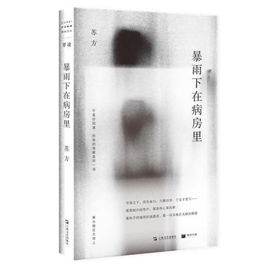 暴雨下在病房里 单读系列 苏方短篇小说集 商品图0