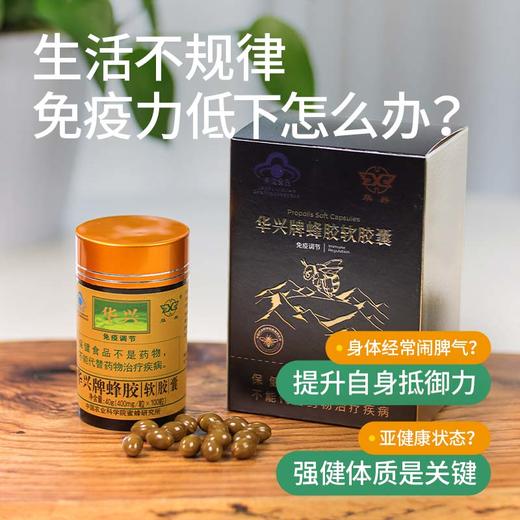 【华兴牌蜂胶】周四（9.26）中午12点上架 升级版总黄酮含量≥7 100颗/瓶  蓝帽健字号认证 商品图4