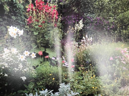 艺术家的花园：从莫奈到巴特利特 132幅彩色插图 精装大16开 商品图8